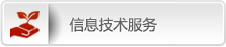 信息技术服务