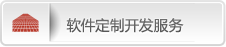 软件定制开发服务