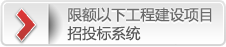 限额以下工程建设项目招投标系统