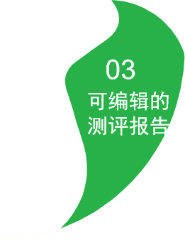 可编辑的测评报告