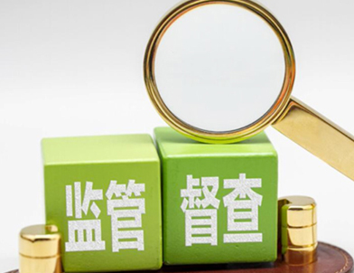 “码上巡察”监督系统