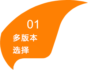 多版本选择