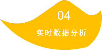 实事数据分析